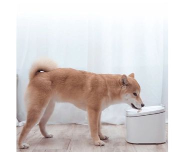 FUENTE INTELIGENTE PARA MASCOTAS SMART PET FOUNTAIN 2L XIAOMI